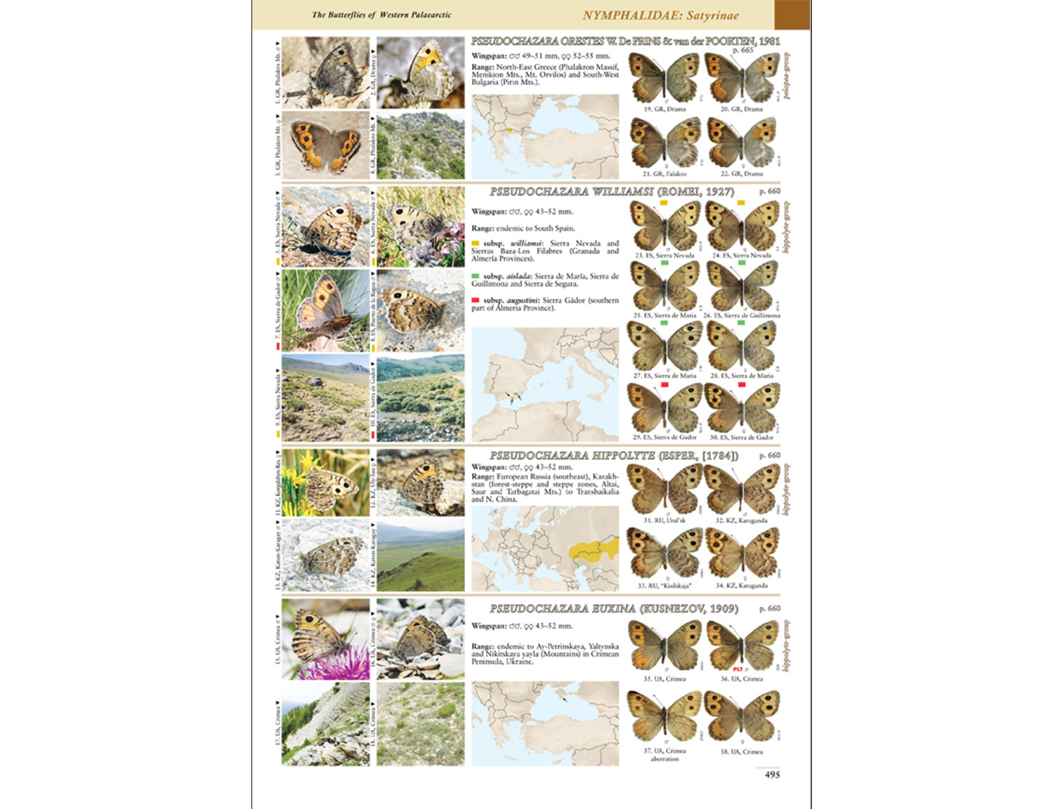 Butterflies of Western Palaearctic vol 2 p 495